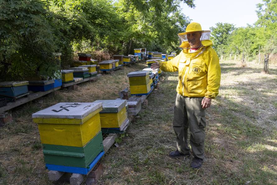 Vukovar: Pomor pčela na OPG Dumendžić