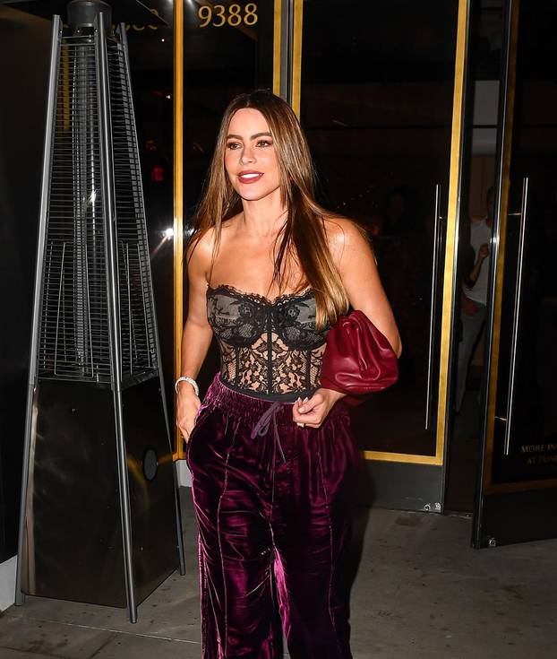 Sofia Vergara is all smiles while on a dinner date with doctor Justin Saliman at the same restaurant Kim Kardashian was having her birthday dinner in Beverly Hills, CA.
