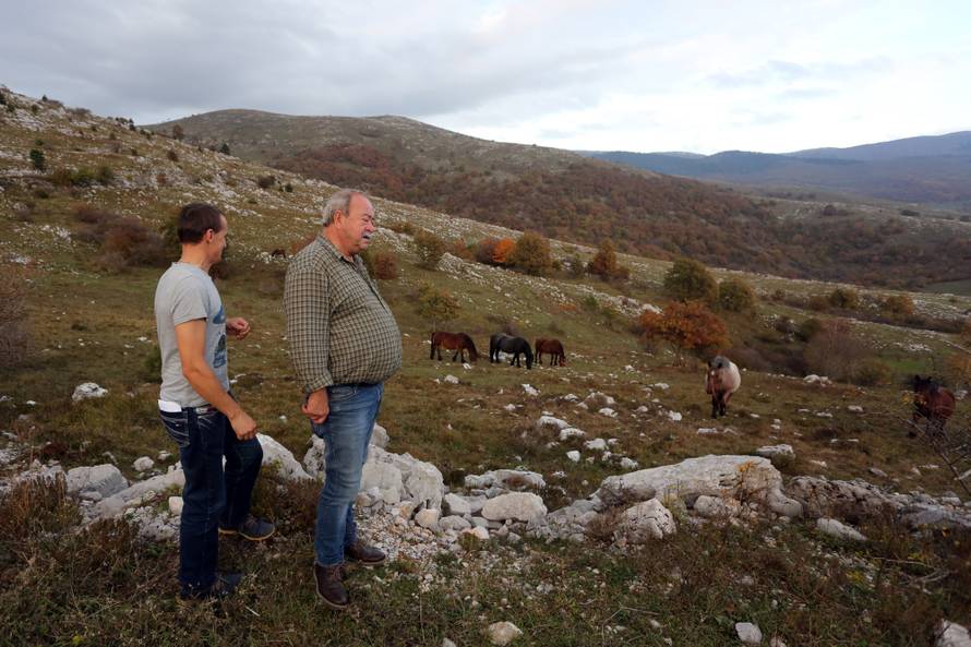 'Vukovi su nam zaklali čak 500 ždrjebadi, gori su od medvjeda'