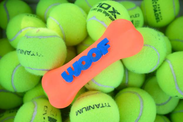 U skloništu Dumovec održan je prvi Dumovečki buvljak na kojem su građani mogli posjetiti sklonište te upoznati pse i mačke