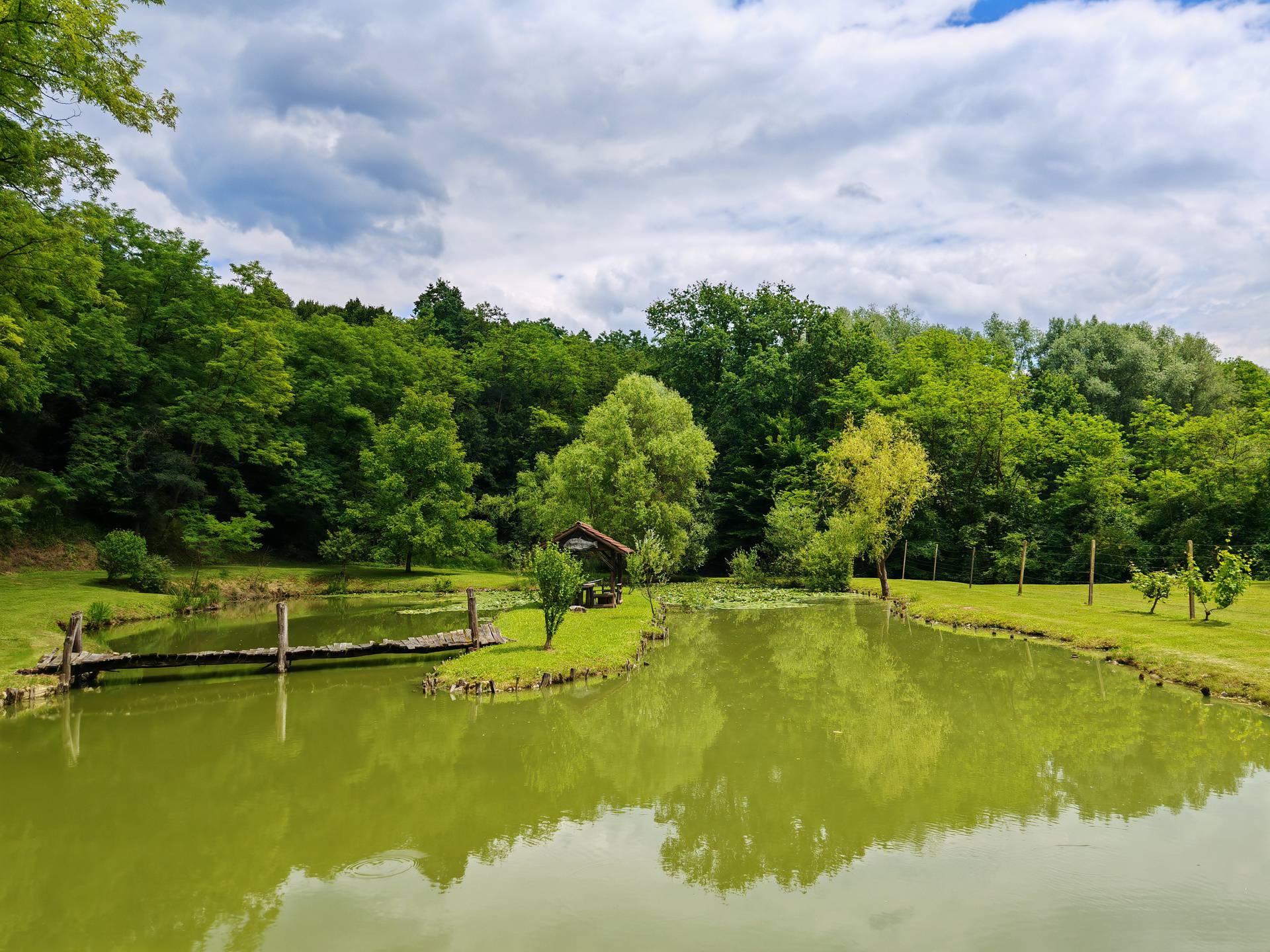 FOTO Isprobali smo Honor 200 Pro: Prvi dojmovi s telefonom koji  želi biti 'kralj portreta'