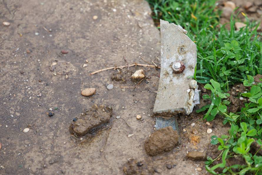 Zagreb: Skulptura tri žabe na savskom nasipu u parku skulptura