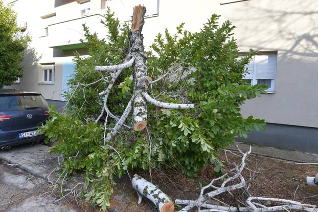 Knin: Posljednice velikog leda koji je okovao Knin