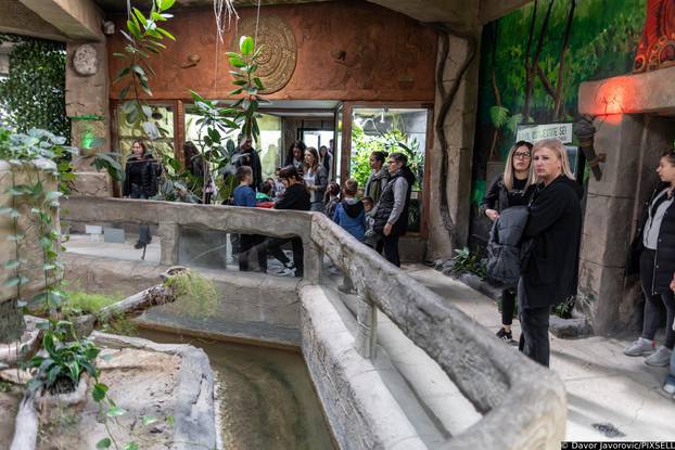 Osijek: Obilježavanje svijetskog dana gmazova u Zoološkom vrtu