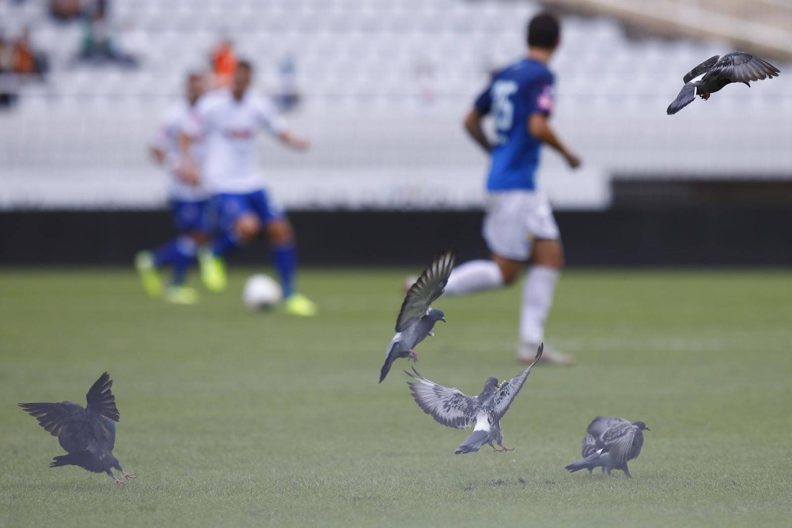 HNL, 11. kolo, Hajduk-Varazdin