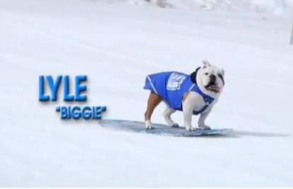 Kako su se psi pripremali za Zimske olimpijske igre?