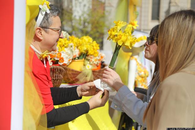 Zagreb: Obilježen Međunarodni dan narcisa