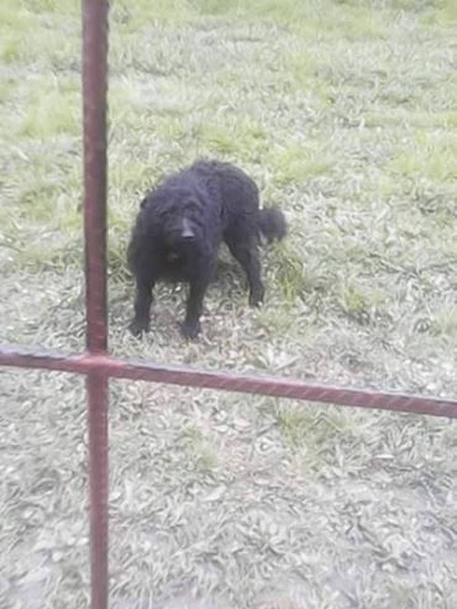 Pomozite mi, nemam nikoga, lutam  mjesecima i gladan sam