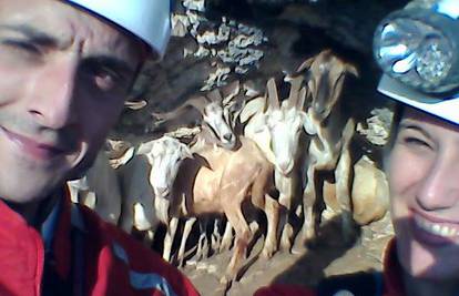 HGSS izvukao stado: Spasili koze s litice pa snimili selfie...