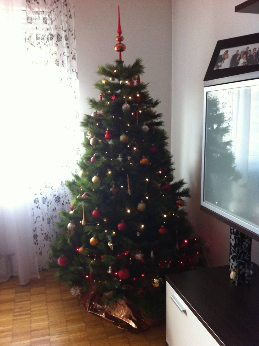 Šaljite fotografije božićnih jelki i osvojite vrijednu nagradu...