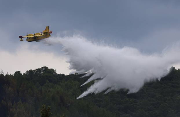 Korčula: Jutro na požarištu izmeďu Smokvice i Blata 
