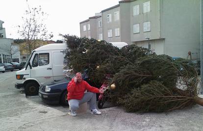 Jaka bura srušila božićnu jelku na vozila u Makarskoj