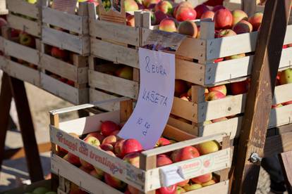 FOTO Pogledajte kako je bilo na sajmu u Benkovcu: Deset kila jabuka 8 eura, kolut sira za 12