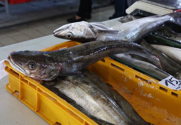 Šibenik: Poskupljenje plavog dizela još se nije odrazilo na cijene u ribarnici