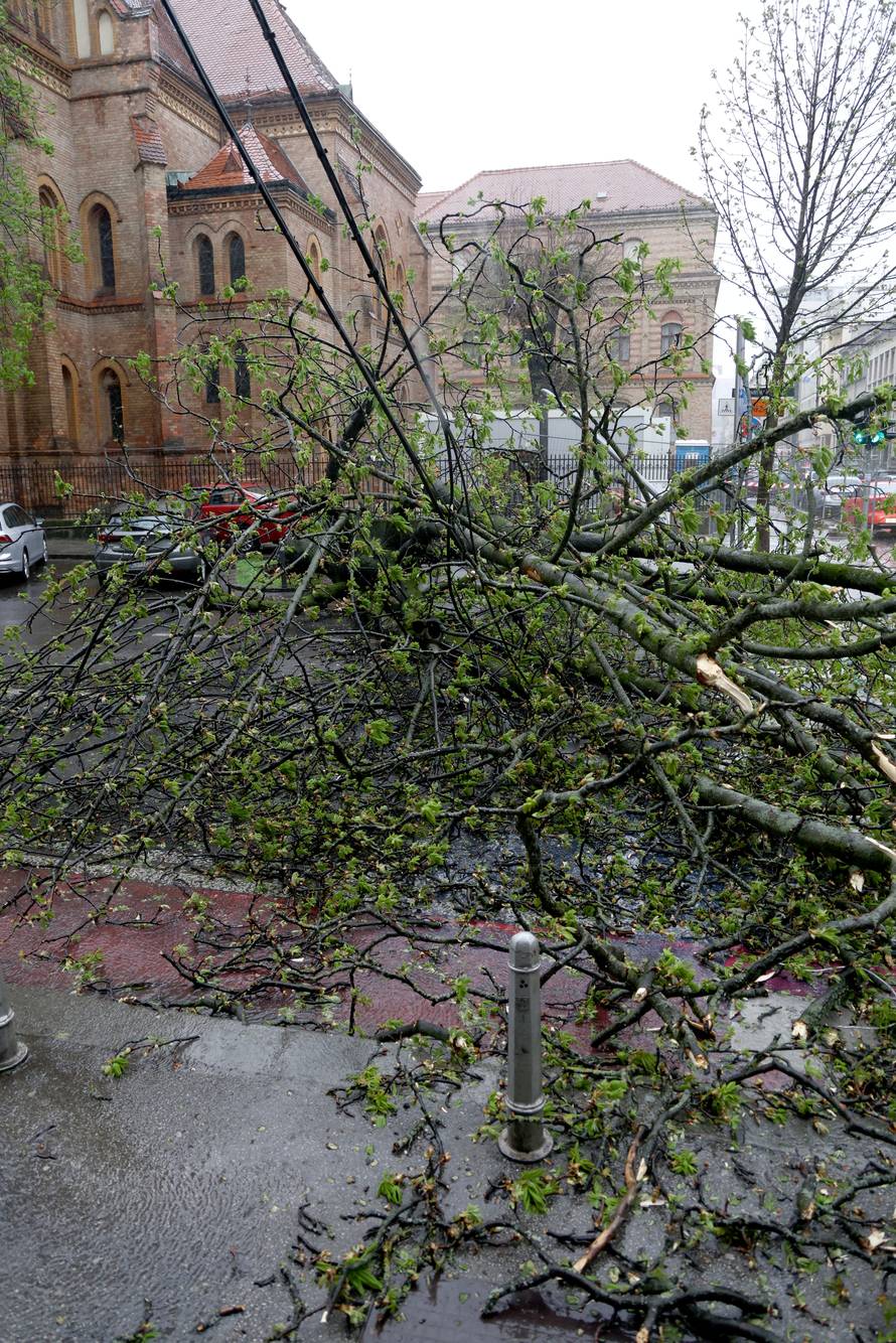 Zagreb:  Nevrijeme i jak vjetar srušili su nekoliko stabala u centru grada