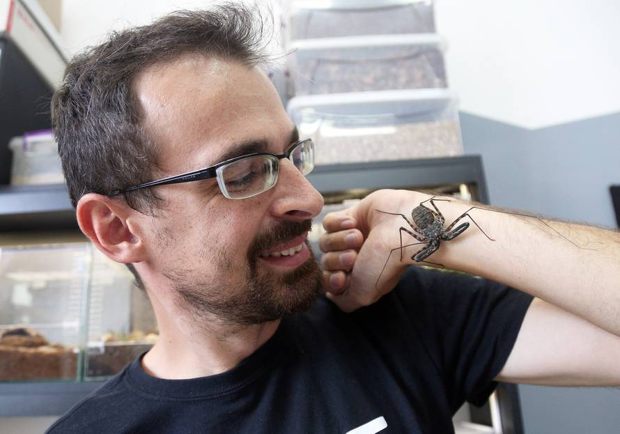 Marko je kralj tarantula: Ima ih 150, a pokrenuo je i posao...