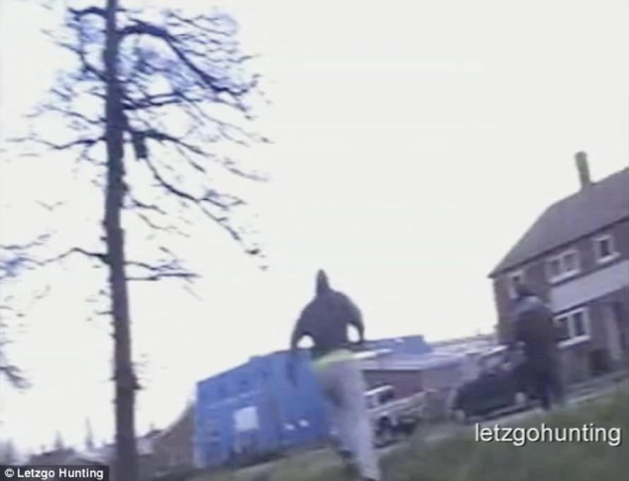 Screenshot/LetzgoHunting