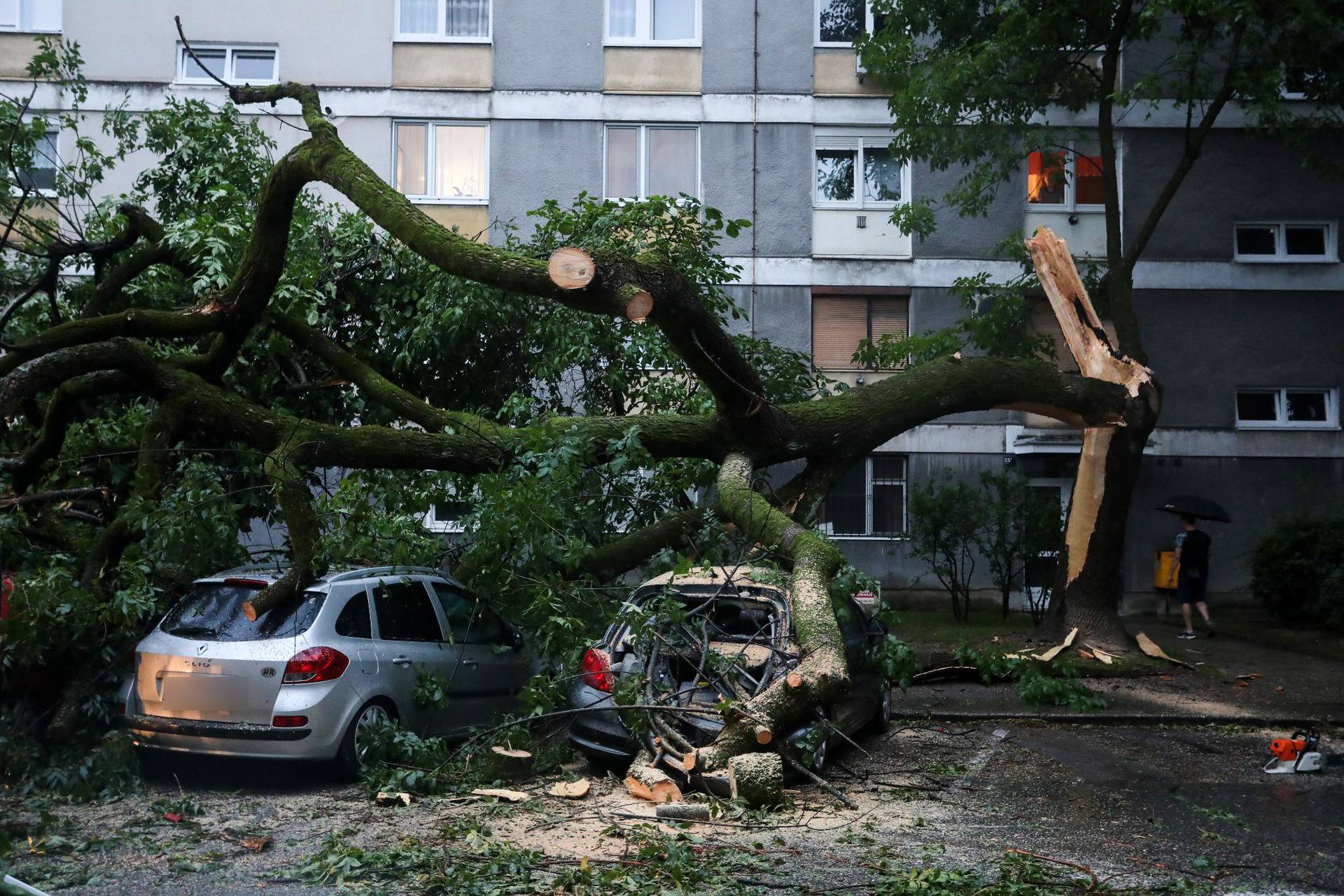 VIDEO Urušilo se staro stablo u Zagrebu, ženu zarobilo u autu: 'Potresena je, ali izvukli smo je'