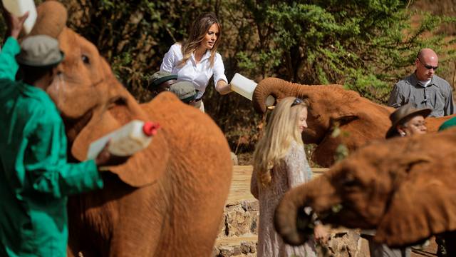 U.S. first lady Melania Trump feeds a baby elephant milk with a bottle, at the David Sheldrick Wildlife Trust Elephant Orphanage in Nairobi