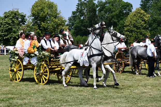 FOTO U znaku tradicije: Na 44. manifestaciji 'Konji bijelci' vozile su se i svadbarske kočije
