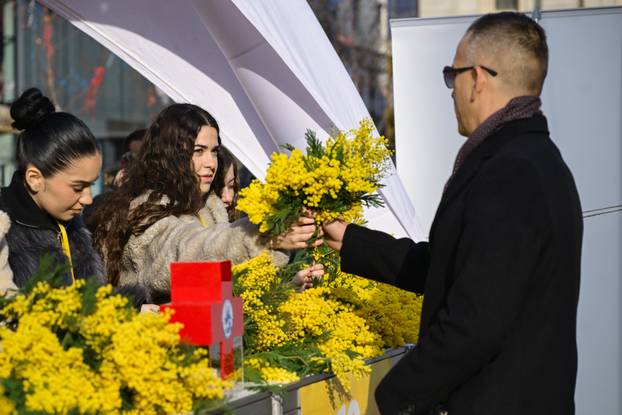 Zagreb: 19. Dan mimoza obilježen na Cvjetnom trgu