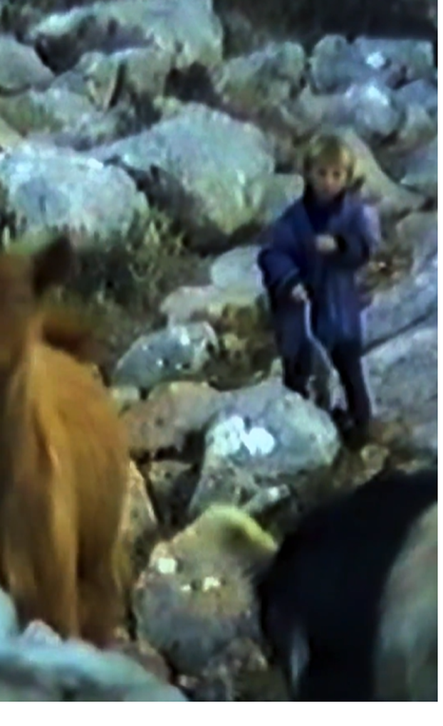 FOTO Ovo je rodna kuća Luke Modrića. Okružena je minama