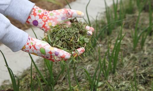 Kako se rije&scaron;iti korova u vrtu? Savjeti za dugotrajan rezultat