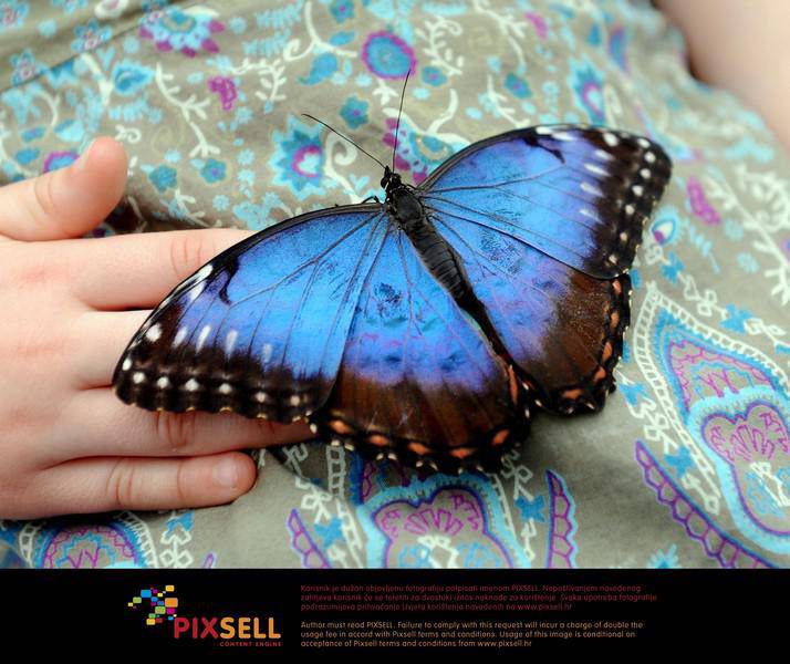 Pixsell