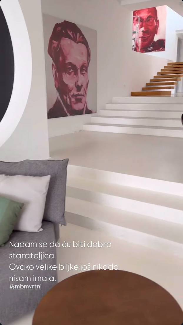 FOTO Zavirite u novoopremljenu kuću Nikoline Pišek! Na zidu su postavljene zanimljive slike...
