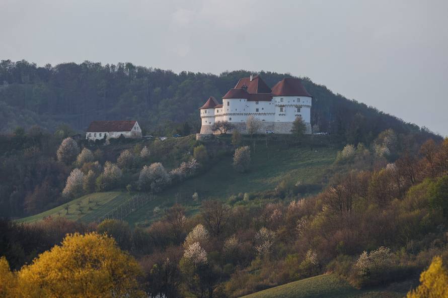 Kod Dvora Velik Tabor top usmrtio muškarca