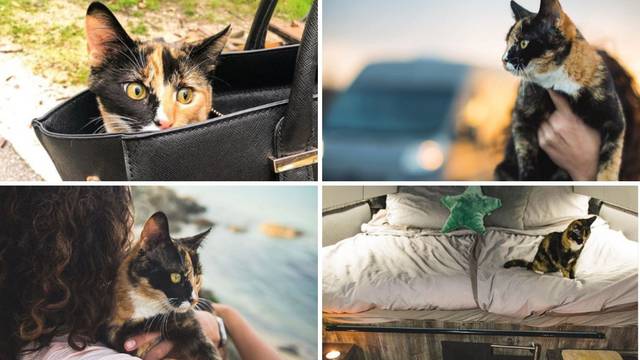 Kako je maca iz Splita krenula na put po svijetu u kamperu