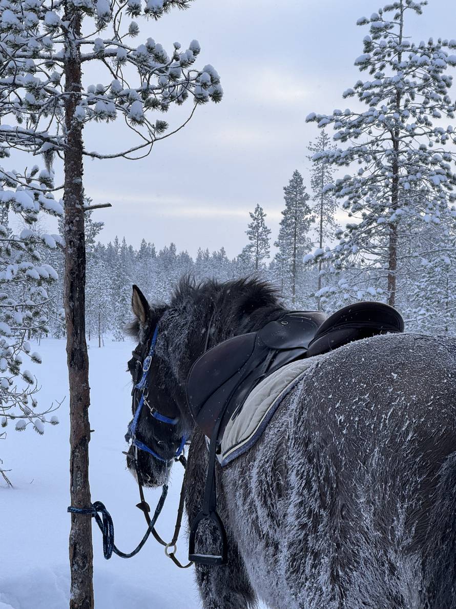 Hana s Raba živi zimsku bajku u Laponiji: 'Na -40 °C mi se lede trepavice, a ja uživam!'