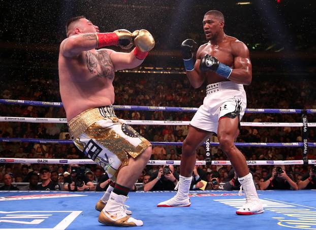 Boxing - Madison Square Garden