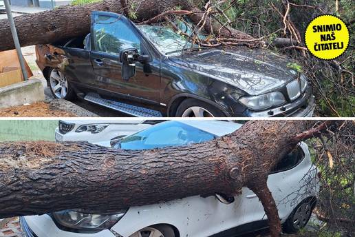 FOTO 'Ljudi su vri&scaron;tali od straha'