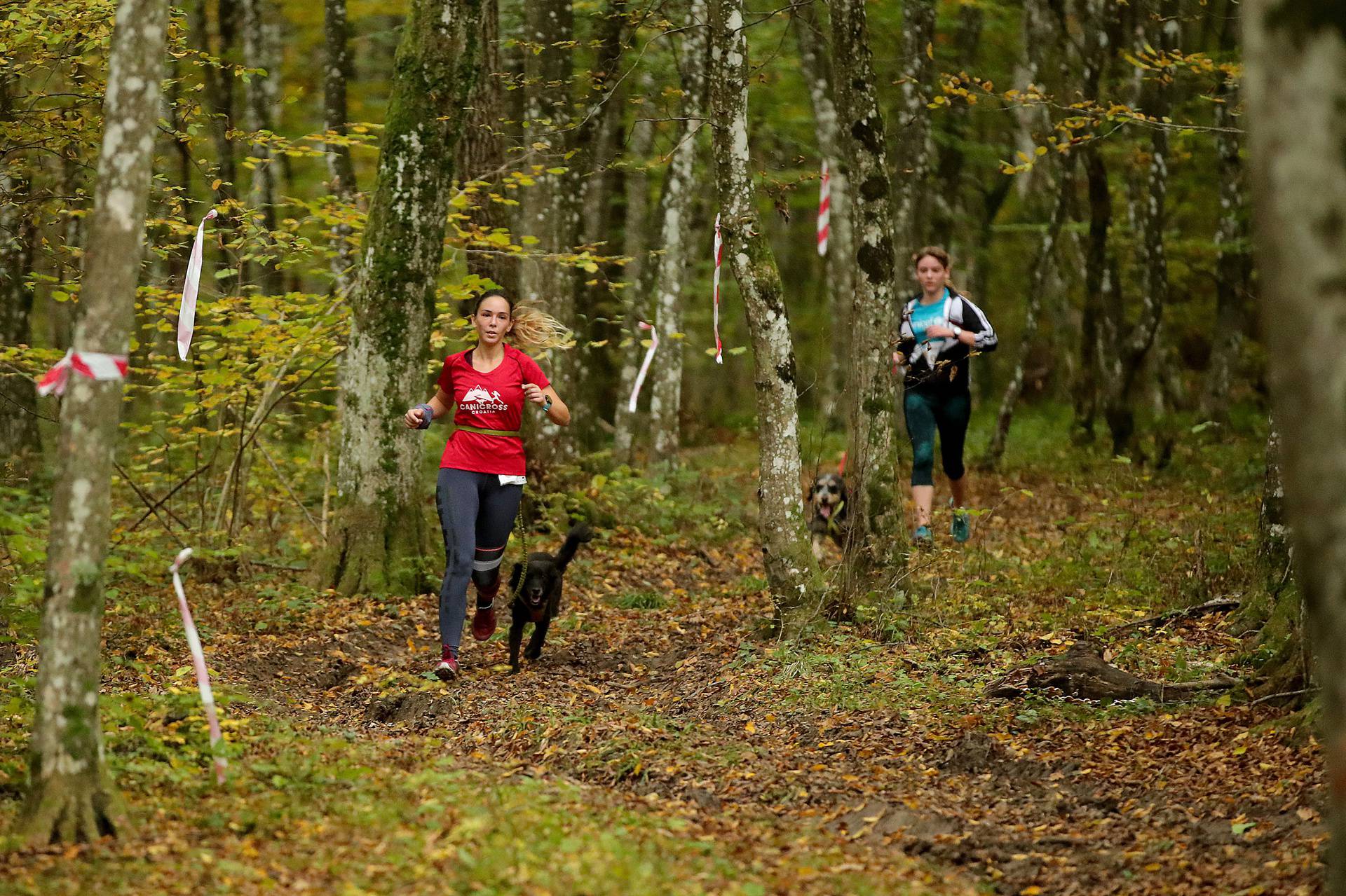 Trčanje sa psom kroz šumu: U ovo vrijeme korone teško je naći korisniji i sigurniji sport