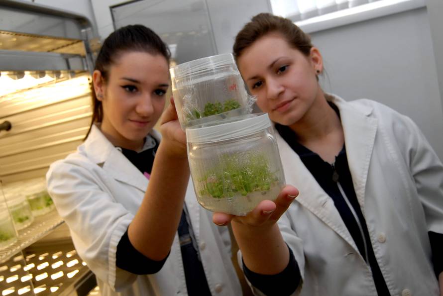 Hram znanja: ‘Naša je škola povukla 50 milijuna kn iz EU’