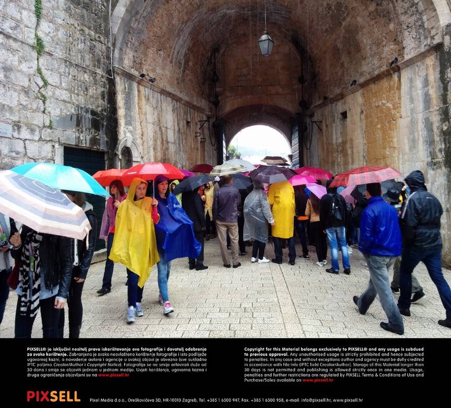 Grgo Jelavić/Pixsell