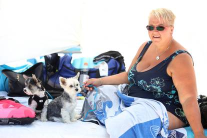 FOTO Preslatki psi se kupaju i uživaju na plaži u Crikvenici