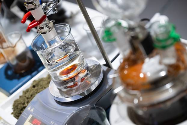 Zagreb: Otvorenje izložbe Skin(s)care - između njege i nasilja