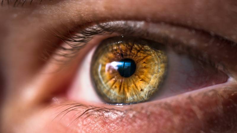 Što boja vaših očiju suptilno otkriva o načinu na koji volite?