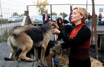 Pusić u Osijeku dala građu za kućice za napuštene pse