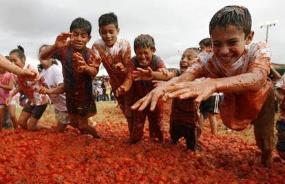 Oko 15 tona trulih rajčica 'pobacali' jedni po drugima