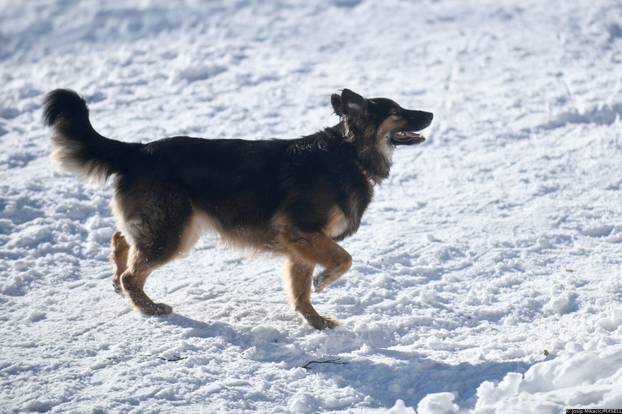 Zagreb: Zimske radosti na Sljemenu