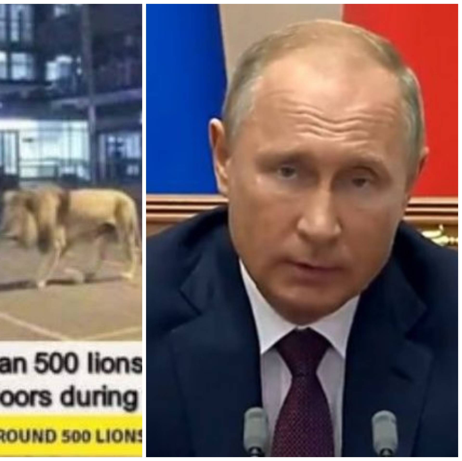 Je li zbilja do Putina? Manje je zaraženih Rusa nego Slovenaca