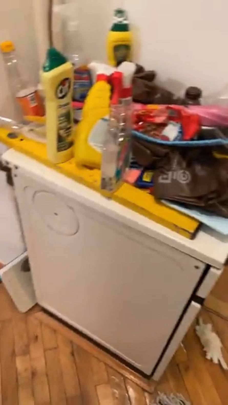 Bach o 'podstanarima iz pakla': Sve je smrdjelo na urin. Par je pobjegao, prijavila sam policiji