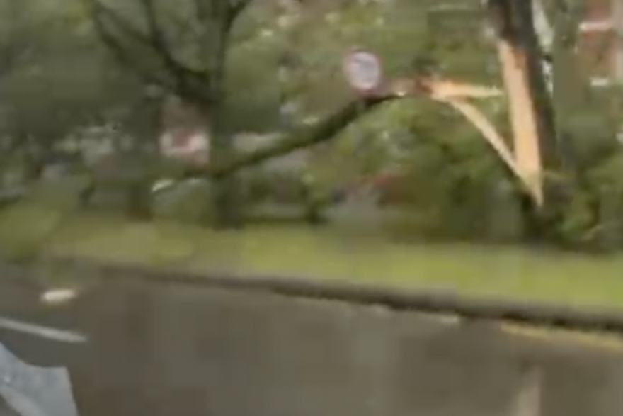 Slomilo se drvo u Zagrebu