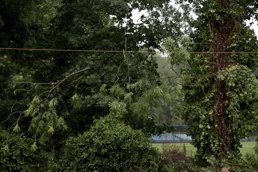 Zagreb: Palo stablo na Maksimirskoj, blokiran promet, vatrogasci na terenu