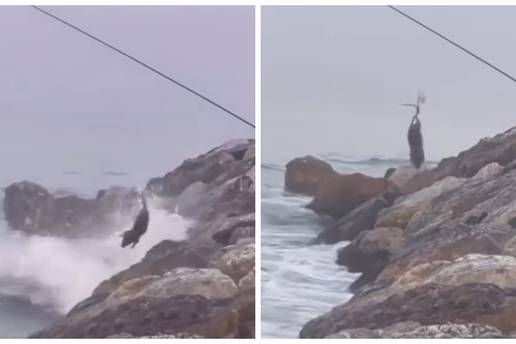 VIDEO Ribiču se okrenuo želudac kad je pogledao što se koprca na udici! Pljušte reakcije