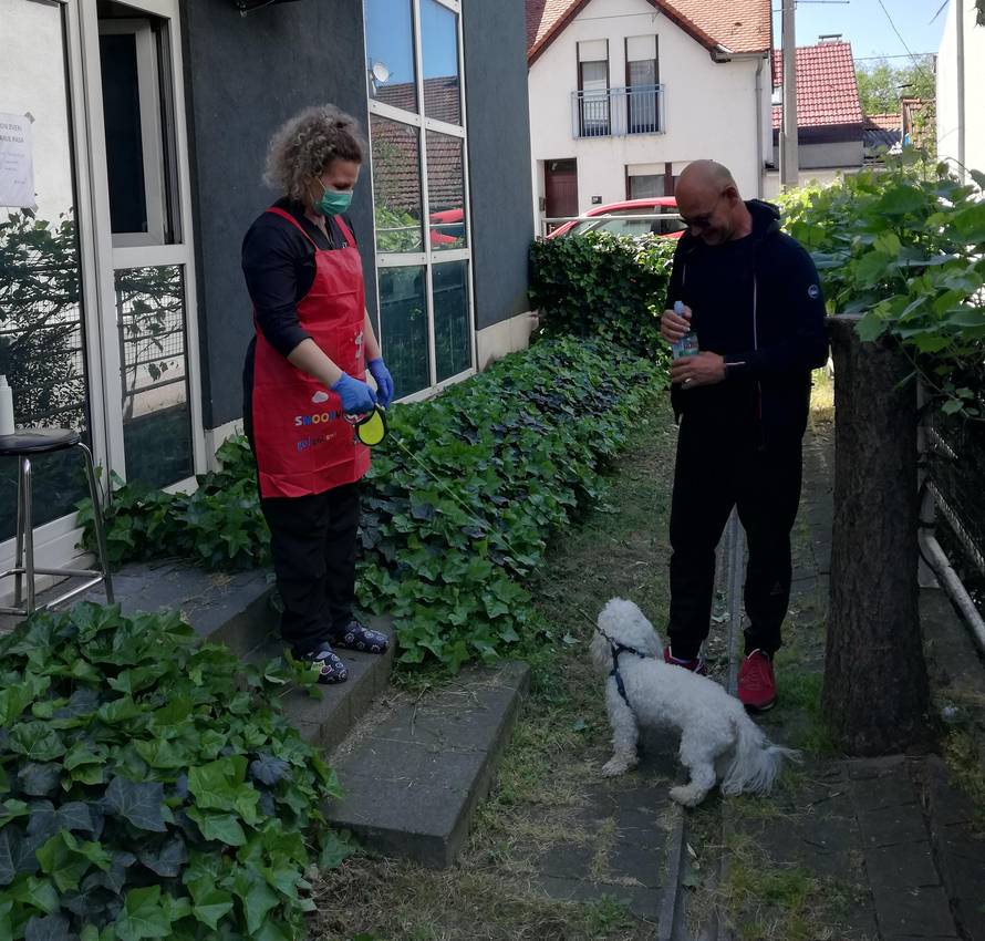 Psi zapetljani u koroni, saloni su popunjeni skoro do lipnja