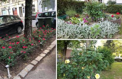 Ljudi stavljaju slike svojih mini vrtova u grupi na Facebooku